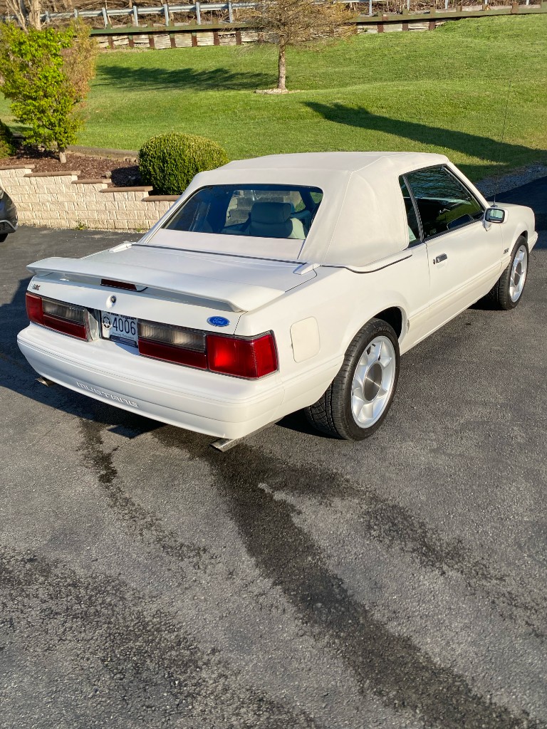Fox Body Mustang rear exterior detail